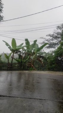Gün boyunca yağmur yağdığında köyün atmosferi güzeldir..