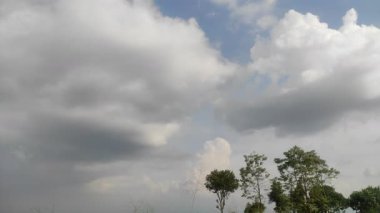 Mavi gökyüzünün altındaki uzun ağaçlar beyaz ve gri bulutların egemenliğinde..