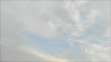 Uçurtmalarla bulutsuz gökyüzünün güzelliği.