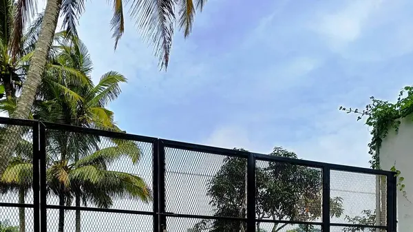 Pirinç Tarlaları ve Palmiye Ağaçlarıyla Tropikal Manzara