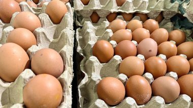 Karton kutularda taze kahverengi yumurtalar.