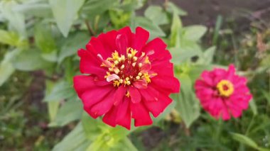 Parlak mavi gökyüzünde hareket eden beyaz bulutların hızlandırılmış görüntüleri hava, doğa veya arka plan görselleri için doğal ve dinamik bir atmosfer yaratıyor.