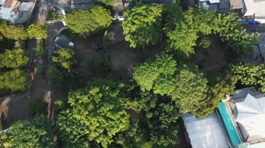Şehir içinde canlı yeşil bir parkın insansız hava aracı görüntüleri. Ağaçlar, yollar ve binalar görünür..