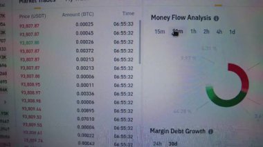 Canlandırılmış Bitcoin fiyat tablosu para akışı analizini ve zaman içinde borç artışını gösteriyor.