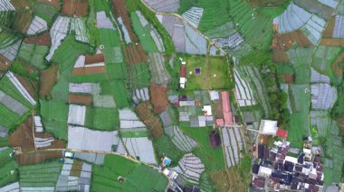 Bu hava görüntülerinde yeşil ve kahverenginin değişik tonlarıyla tarlalar sergileniyordu. Endonezya 'nın Dieng kentindeki tarlaların yanında evleri ve binaları olan küçük bir köy var..