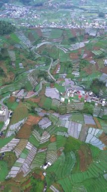 Bu görüntüler teraslı tarlaların ve Endonezya 'nın merkezindeki Dieng Platosu' ndaki bir köyün havadan görünüşünü gösteriyor. Kamera peyzaj boyunca yavaşça döner..