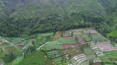 Bu görüntüler tepenin üstündeki tarlaların yüksek açılı görüntülerini yakalıyor. Manzara canlı yeşil bitki örtüsü, ağaçlar ve ekilmiş arazilere sahiptir. Kamera parazit yapıyor..