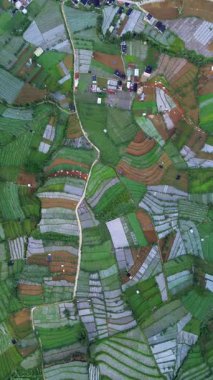 Bu hava görüntülerinde kahverengi benekli canlı yeşil pirinç terasları görülüyor. Kırsal bir köyde küçük evleri birbirine bağlayan bir toprak yol tarlalardan geçiyor. Baştan aşağı bir perspektiften çekilmiş..