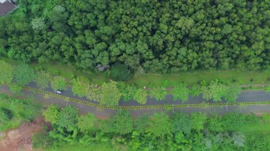 Bu görüntüler sık bir ormanın yanındaki ağaçlarla kaplı bir yolun havadan görüntüsünü gösteriyor. Arabalar ve motosikletler yolda sürerken görülebilir. Kamera parazit yapıyor..