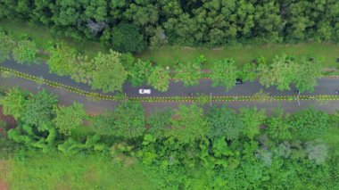 Bu hava görüntülerinde canlı yeşil bir arazide dolambaçlı bir yol görülüyor. Arabalar ve motosikletler yol boyunca ağaçlar ve yoğun yapraklarla çevrili olarak seyahat ederler. Kamera sabit duruyor..
