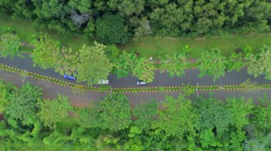 Drone görüntüleri ağaçlarla ve yoğun yeşil bitki örtüsüyle çevrili bir yol boyunca hareket eden arabaları yakalıyor. Kamera açısı tam tepemizde, olay yerine kuş bakışı bir bakış açısı sağlıyor..
