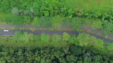 Hava görüntüleri iki tarafında ağaçlarla kaplı bir yol gösteriyor. Bir araba ve motosikletlerin yemyeşil bir çevrede yol boyunca ilerlediği görüldü..