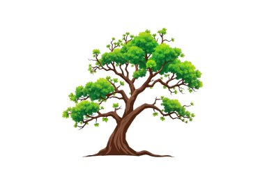 Beyaz Arkaplanda Yaprakları ve Dalları Olan Yeşil Ağaç Resimleri