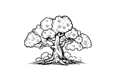 Yapraklar ve Dallarla İzole Ağaç Resimleri