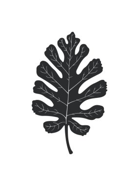 İzole edilmiş Monstera Yaprak Vektör Simgesi Tropik Yaz Tasarımı