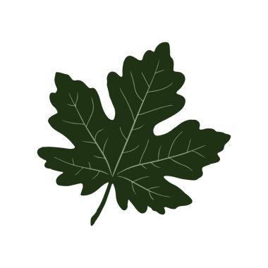 Tropikal Yaz Tasarımı için İzole Yaprak Vektörü Simgesi İllüstrasyonu