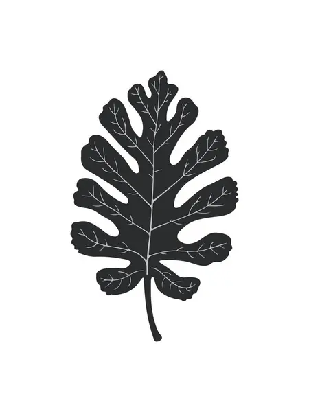 İzole edilmiş Monstera Yaprak Vektör Simgesi Tropik Yaz Tasarımı