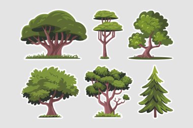 Çizgi Film Ağacı Etiketleri Çizim Kümesi Koleksiyonu. Orman, Orman ve Tropikal Tasarımlar İçin Renkli El Çizimi Doğa Elementleri