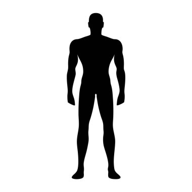İyi yapılı bir adamın silueti, beyaz bir arka plana karşı anatomiyi vurguluyor.