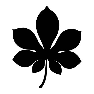 At kestanesi yaprağının zarif silueti kıtır beyaz bir arkaplanda