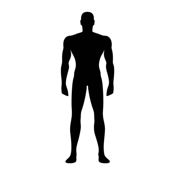 İyi yapılı bir adamın silueti, beyaz bir arka plana karşı anatomiyi vurguluyor.