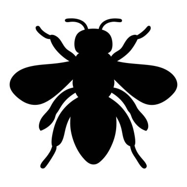 Kanatları ve antenleri olan bir bal arısının ayrıntılı vektör silueti