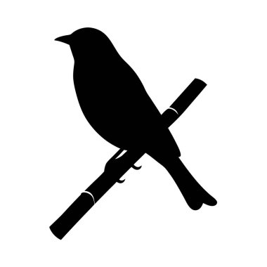 Beyaz arka plan sanatına karşı bir dala tünemiş bir kuşun silüeti