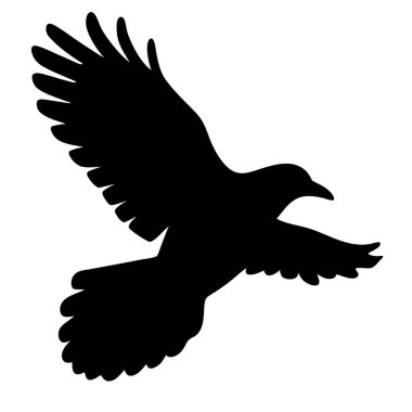 Kanatları açık havada süzülen güçlü bir kuzgunun silueti.