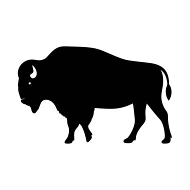 Görkemli Kara Bizon Silueti Ovalarda Gururla Geziniyor