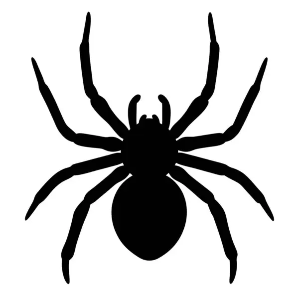 Ürkütücü örümceğin silueti Cadılar Bayramı kabuslarına girmeye hazır.