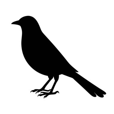 Profil görünümünde yerde duran siyah bir kuş silueti
