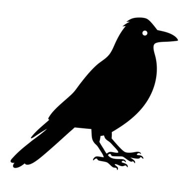 Göze çarpan bir karga silueti, gizem ve zekanın simgesi.