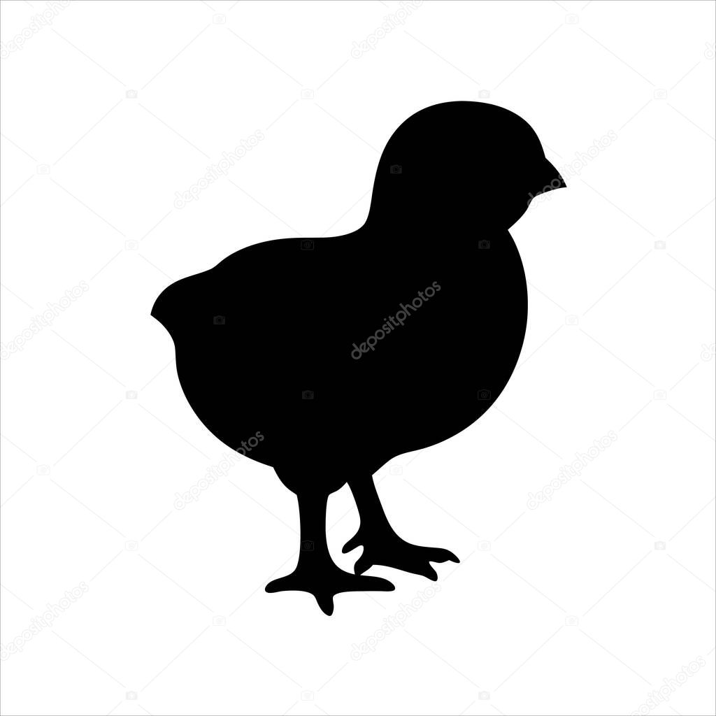 Silhouette of a newborn chick standing on a white isolated background