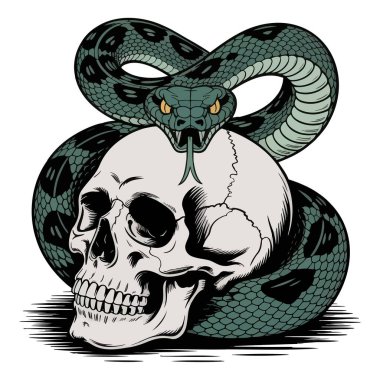 Kafatasının etrafına sarılmış zehirli bir yılan tehlikeli enerjiyi simgeliyor. vektör çizimi tasarımı