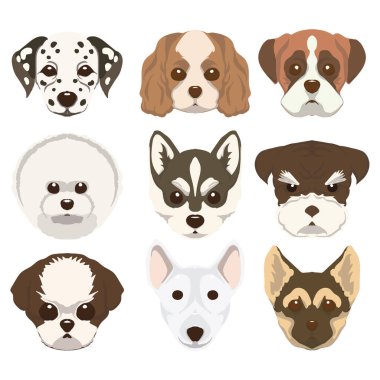 Bir sürü farklı köpek kafası. Beyaz arkaplanda vektör illüstrasyonu.