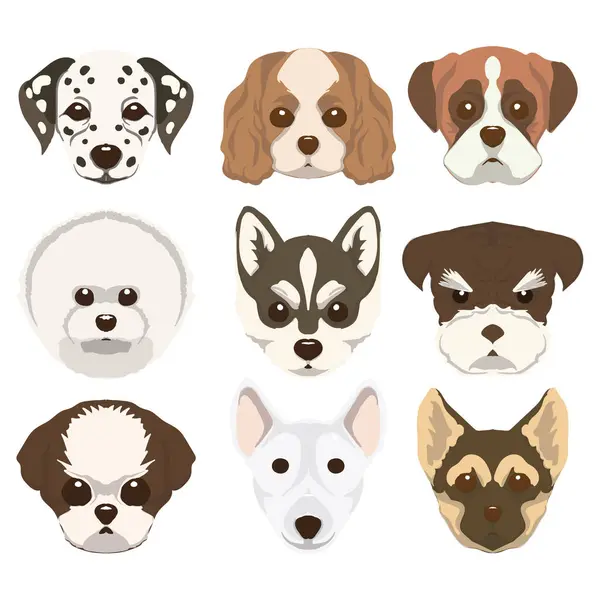 Bir sürü farklı köpek kafası. Beyaz arkaplanda vektör illüstrasyonu.