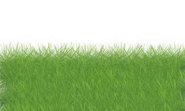 yeşil çimen dokusu arka plan, yeşil çimen arka plan, yeşil çimen dokusu arka plan