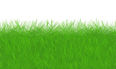 yeşil çimen dokusu arka plan, yeşil çimen arka plan, yeşil çimen dokusu arka plan