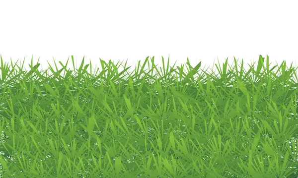 Beyaz arka planda yeşil çimenler izole edilmiş. Üç boyutlu illüstrasyon. Yeşil çimen
