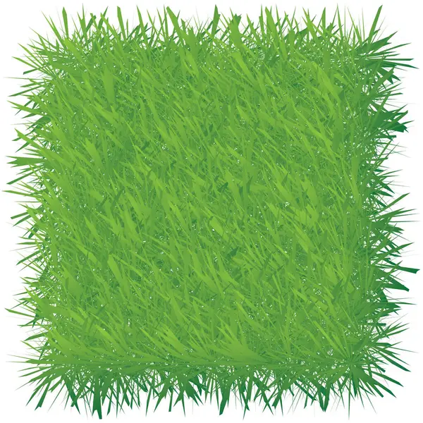 Beyaz arka planda yeşil çimen çerçevesi. Vektör çizimi. Eps 10