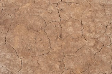 Kuraklık, iklim değişikliğini, çevresel bozulmayı ve su kıtlığını gösteren kuru toprak çatlakları. Bu çorak arazi dokusu küresel ısınma ve ekoloji kavramları için mükemmeldir..