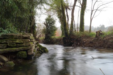 İzlerde gözlemlemek için büyük ve görkemli granit oluşumlar