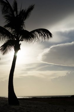 Varadero, Küba 'daki cennet kumsalları