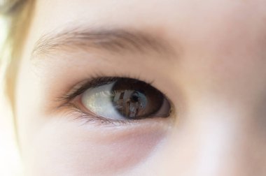 Kameraya bakarak küçük bir çocuk portresi kapatın