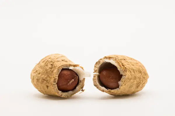 Beyaz arka planda ikiye bölünmüş bir fıstığın detaylı fotoğrafı.