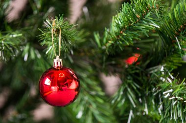 Noel ağacı dalında kırmızı top. Yeni yıl kartı..