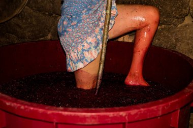 Şarap yapmak için kırmızı üzümleri ezen bir kadın.