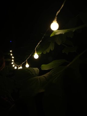 Gece karanlığında parlayan iplik ışıkları. Yapraklarla çevrili, karanlıkta usulca parlayan bir peri ışığı dizisi. Gece bahçesi, kutlama, romantizm ya da açık hava dekorasyonu gibi konular için ideal..