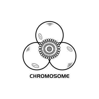 Kromozom Diyagramı Logosu. Bilimsel ve Eğitimsel Amaçlar Logosu