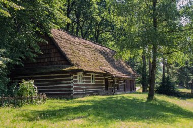 Doğa ile çevrili Kırsal Açık Hava Müzesinde Geleneksel Thatched Kulübesi